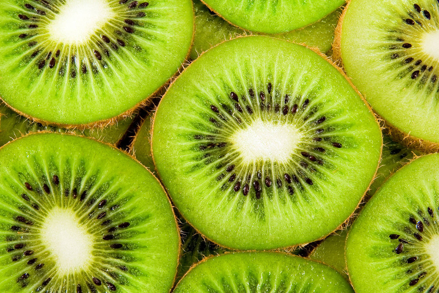 Kiwi green verpakt 1kg stuk 3